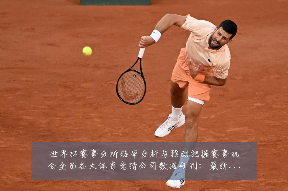 世界杯赛事分析赔率分析与预测把握赛事机会全面各大体育竞猜公司数据研判:最新赛事动态与深度分析